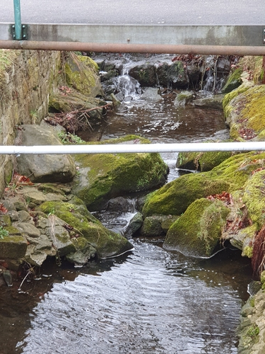 Hochwasser 2021   Bild 02